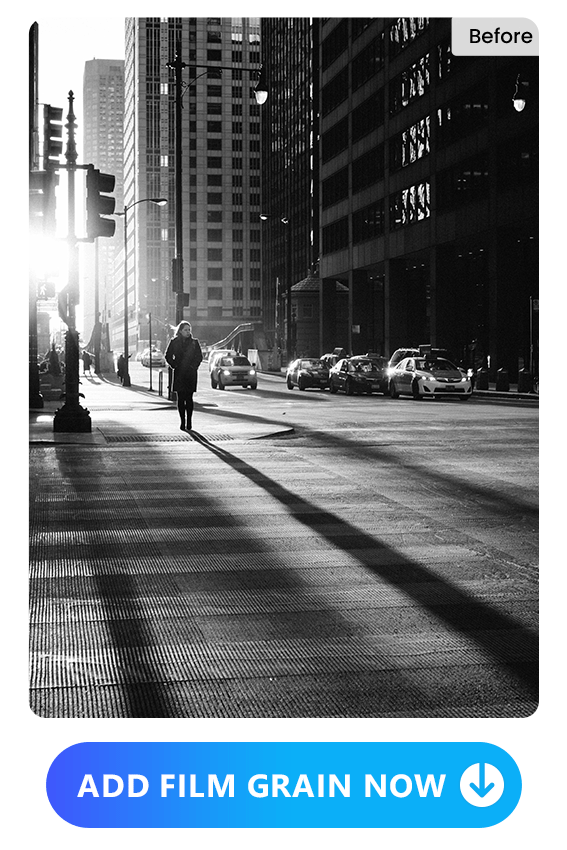 an original B&W picture and picture applied with grain effect of Vivid Glam